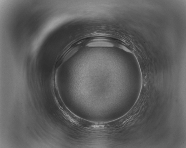X0000083970052200702161114