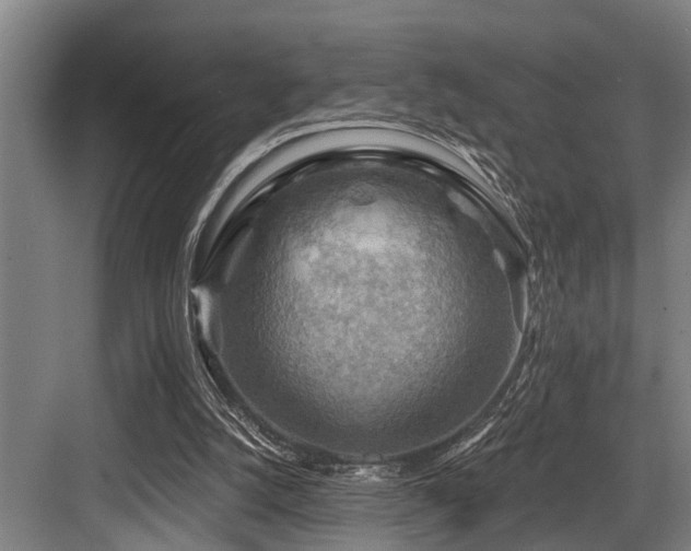 X0000083970056200702161114