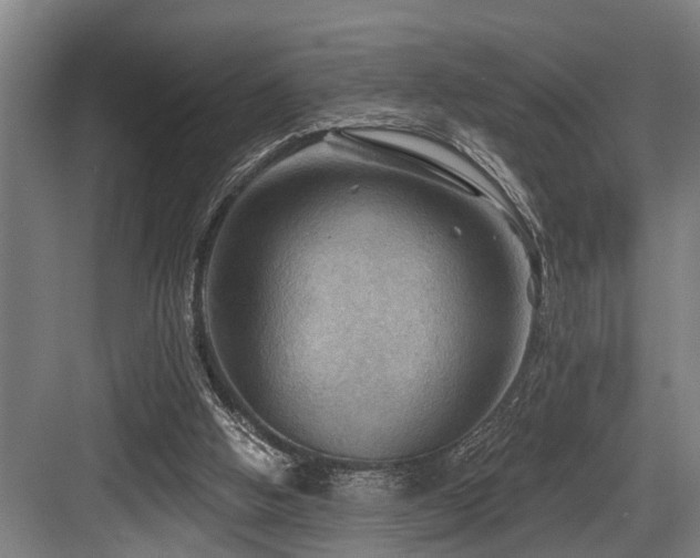 X0000083970058200702161114