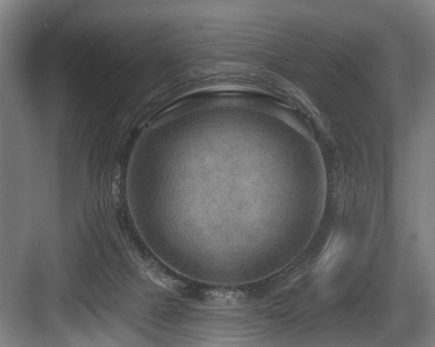 X0000083970073200702161114