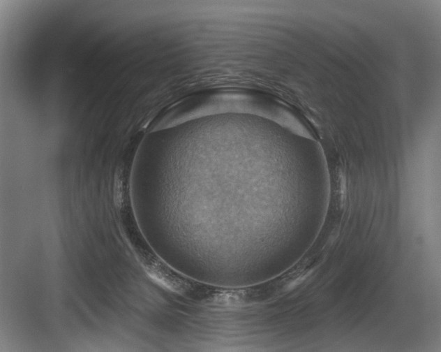 X0000083970080200702161114