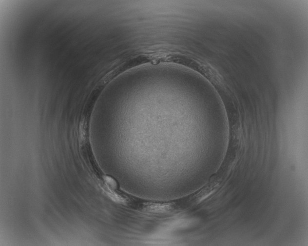 X0000083970081200702161114