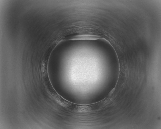 X0000083970087200702161114