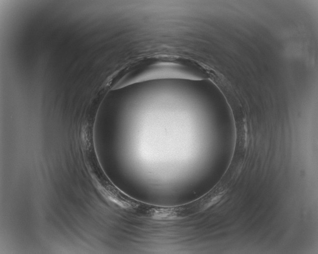 X0000083970088200702161114