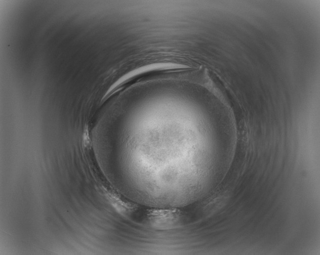 X0000083970089200702161114