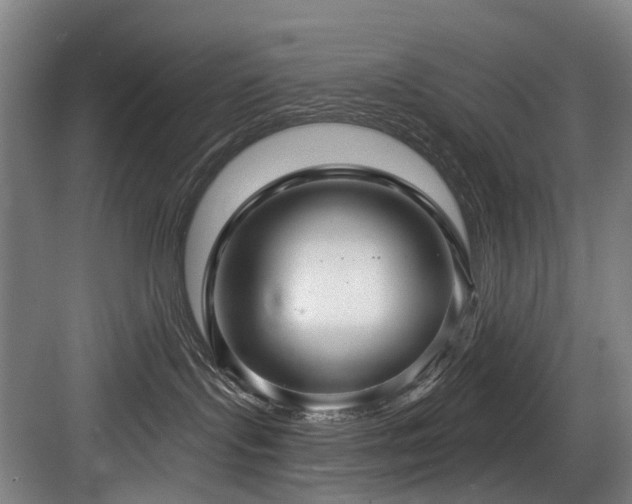 X0000083970095200702161115