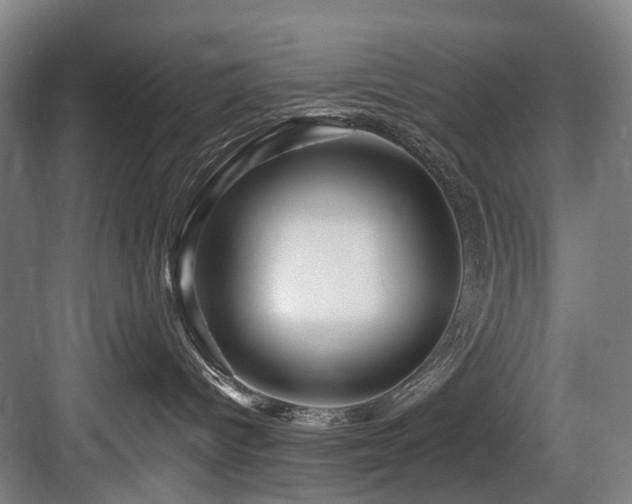 X0000083970096200702161115