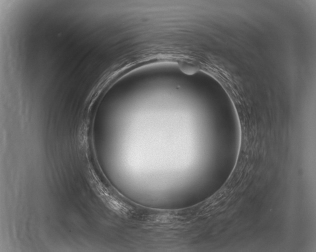 X0000083970098200702161114