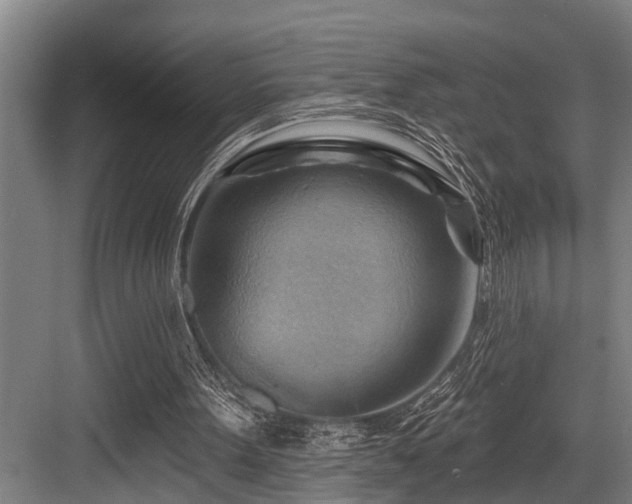 X0000083970099200702161114