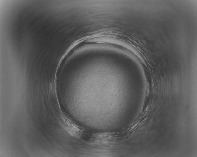 X0000083970100200702161114
