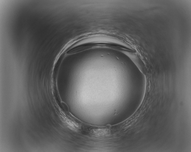 X0000083970102200702161114