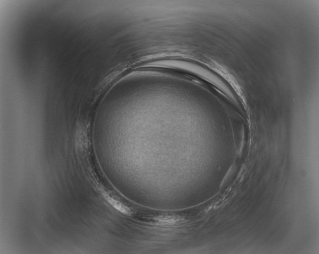 X0000083970105200702161114