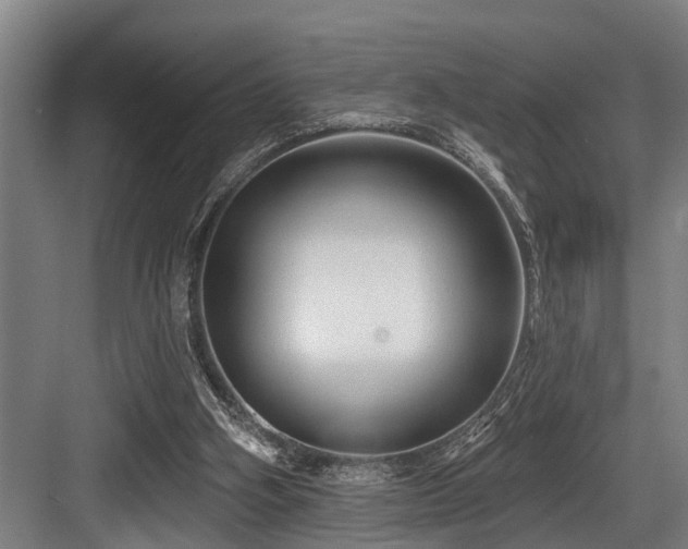 X0000083970106200702161114
