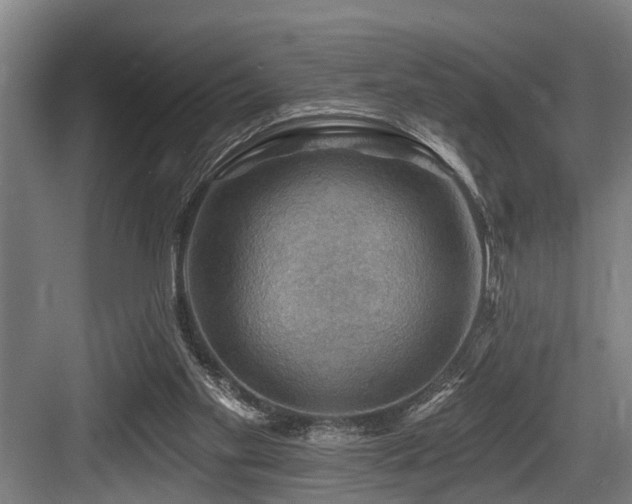 X0000083970109200702161114