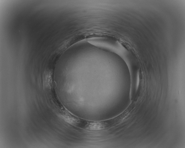 X0000083970127200702161113