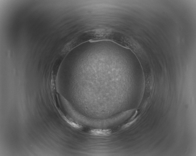 X0000083970137200702161113