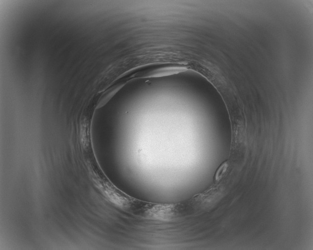 X0000083970138200702161113