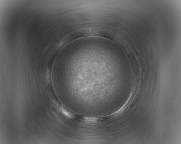 X0000083970144200702161113