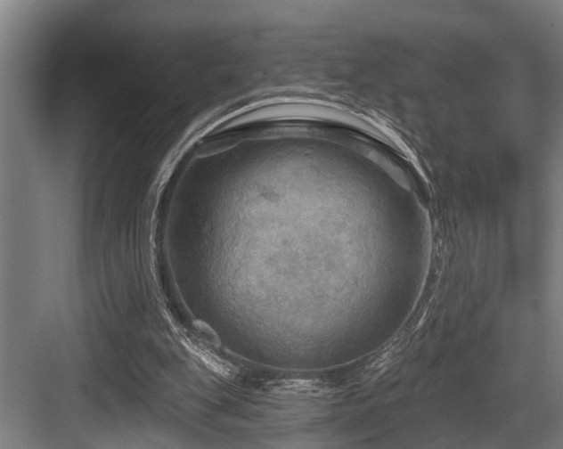 X0000083970151200702161112