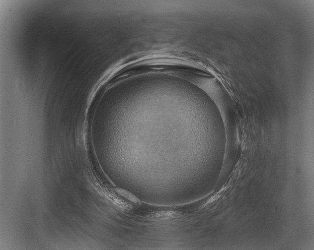 X0000083970152200702161112
