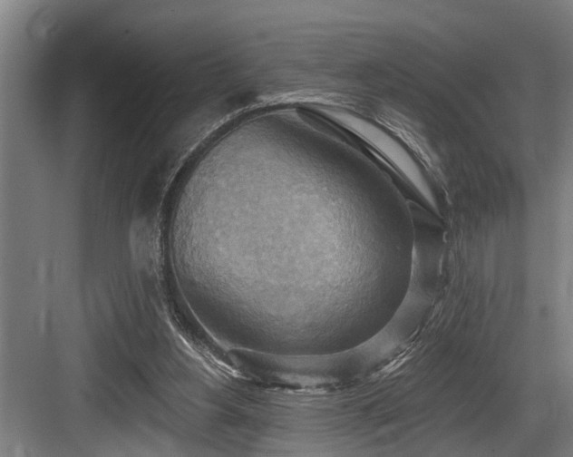 X0000083970156200702161112