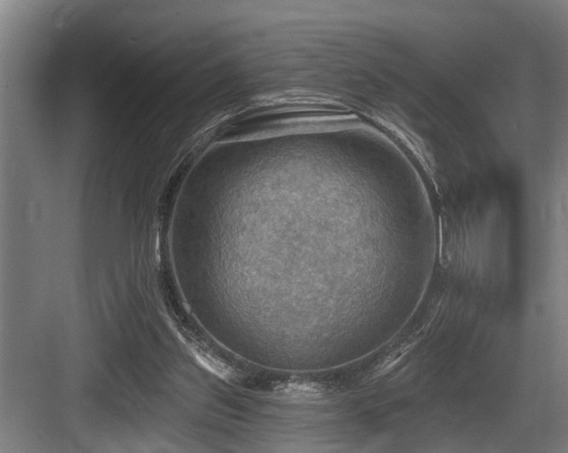 X0000083970157200702161112