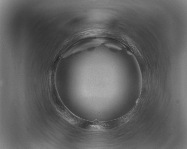 X0000083970167200702161113