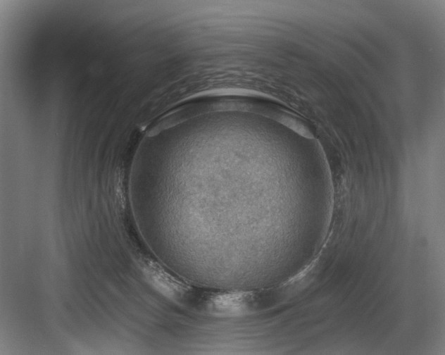 X0000083970178200702161113