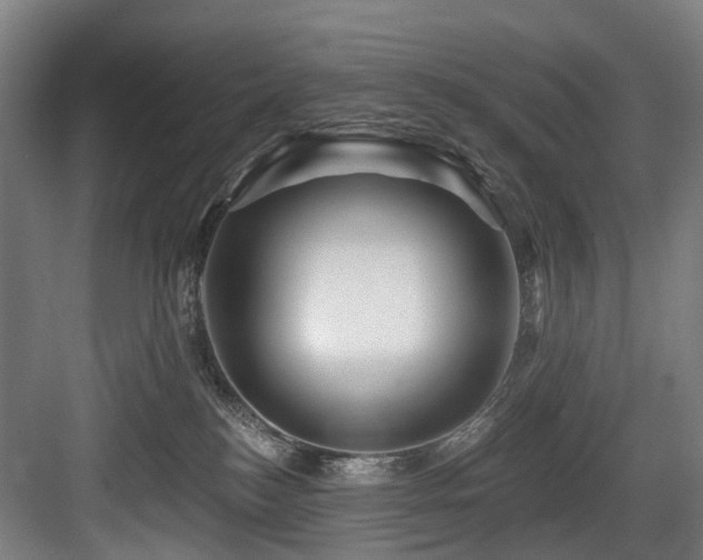 X0000083970184200702161113