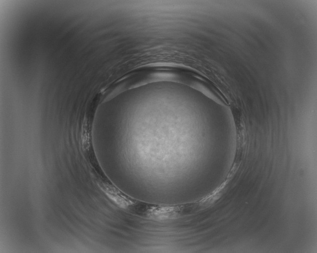 X0000083970186200702161113