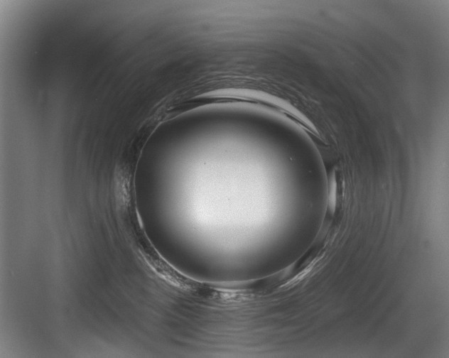 X0000083970188200702161113