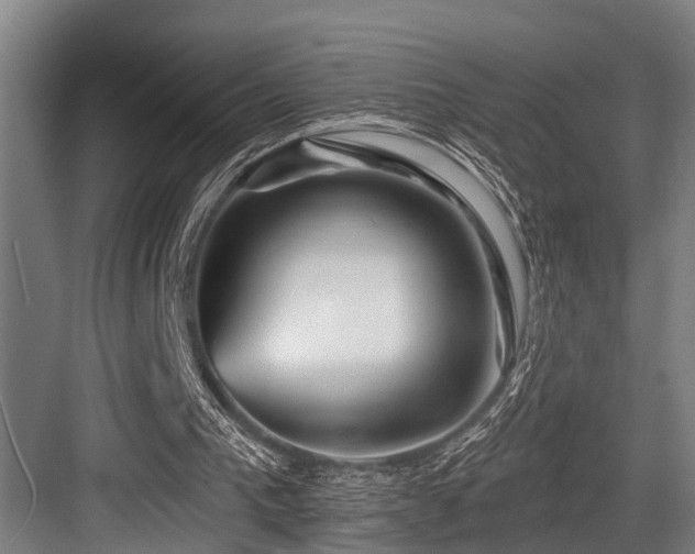 X0000083970193200702161112