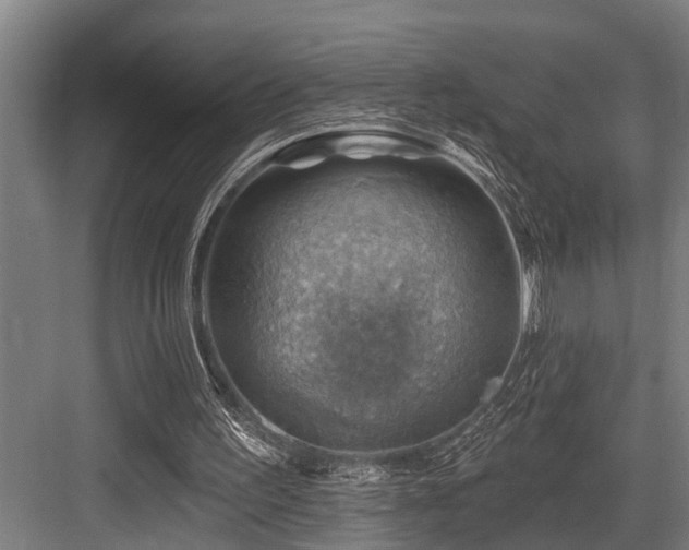 X0000083970195200702161112