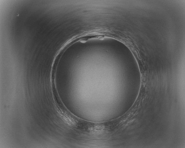 X0000083970196200702161112