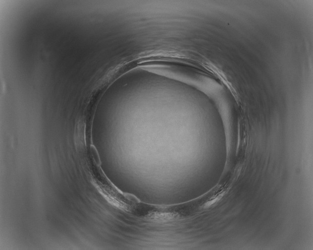 X0000083970205200702161112