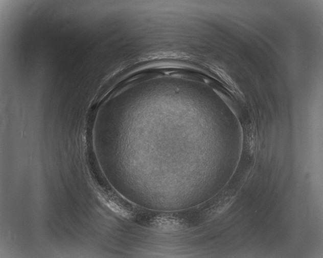 X0000083970207200702161112
