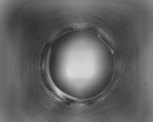 X0000083970209200702161112