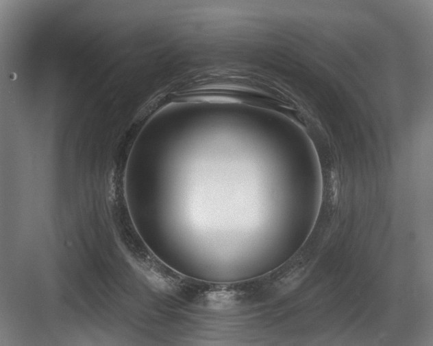 X0000083970216200702161112