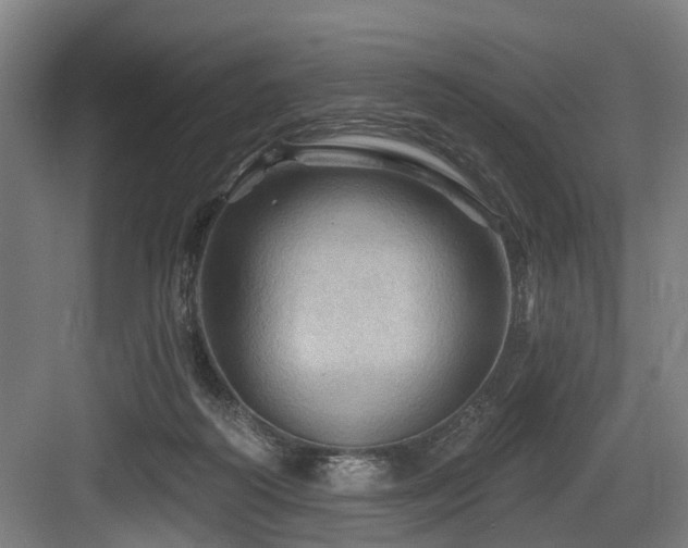 X0000083970218200702161112
