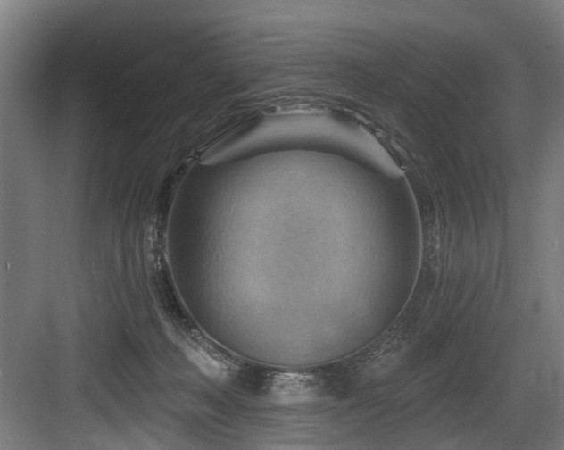 X0000083970222200702161112