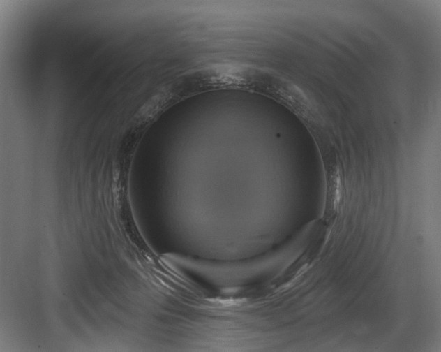 X0000083970223200702161112