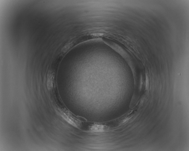X0000083970227200702161112