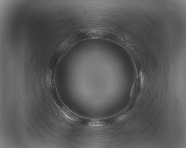 X0000083970231200702161112