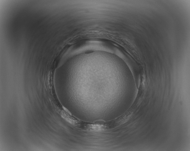 X0000083970233200702161112