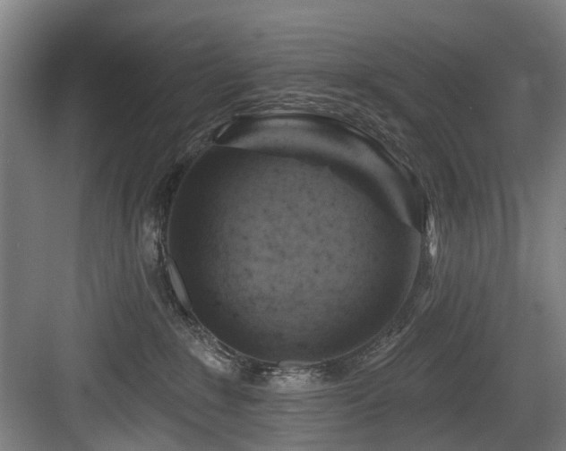 X0000083970235200702161111