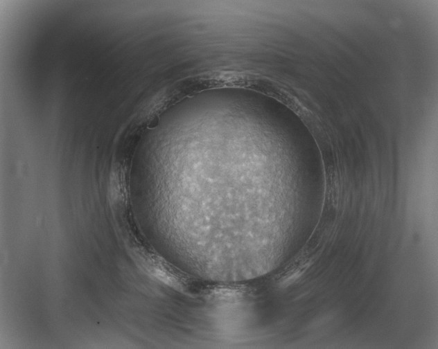 X0000083970236200702161111