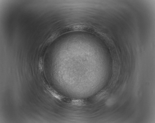 X0000083970240200702161111