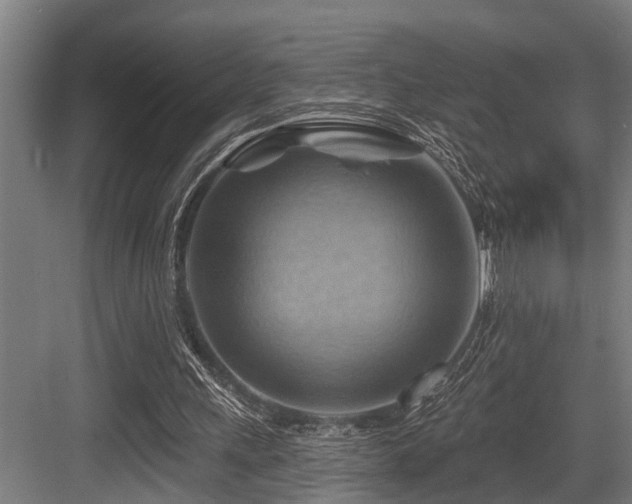 X0000083970243200702161111