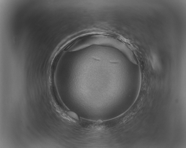 X0000083970247200702161111