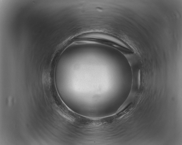 X0000083970252200702161111